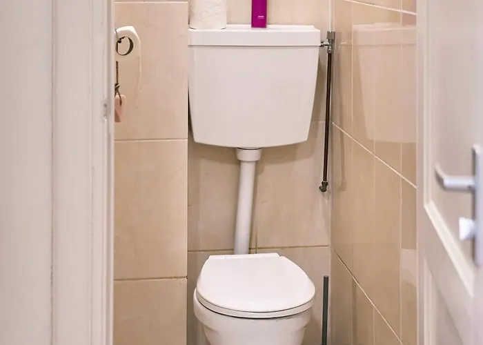 In The Heart Of Vibrant