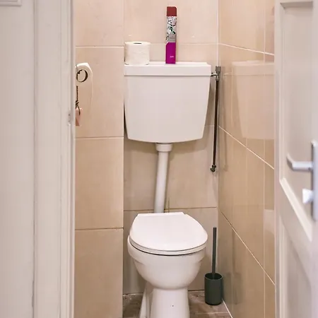 In The Heart Of Vibrant